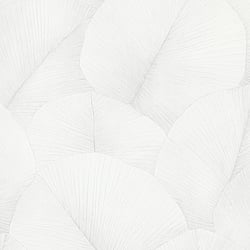 Galerie Wallcoverings Product Code 34507 - The New Design Book Wallpaper Collection - White Colours - Palm Leaf Design