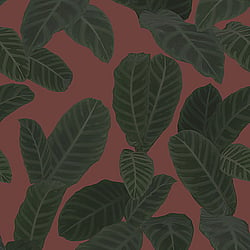 Galerie Wallcoverings Product Code ED13125 - Ted Baker Eden Wallpaper Collection - Red Green Colours - Piner Design