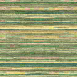 Galerie Wallcoverings Product Code G45422 - Natural Fx 2 Wallpaper Collection - Green Colours - Grasscloth Design