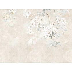 Galerie Wallcoverings Product Code WH45282M - Welcome Home Murals Wallpaper Collection - Beige, Cream, Grey Colours - Delicate Bloom Haze Design