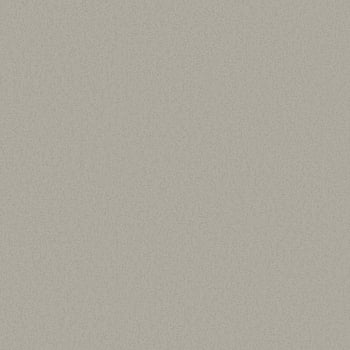 Galerie Wallcoverings Product Code DC30144 - Designer Colours Wallpaper Collection - Beige Colours -  