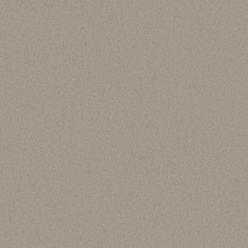 Galerie Wallcoverings Product Code DC30156 - Designer Colours Wallpaper Collection - Beige Colours -  