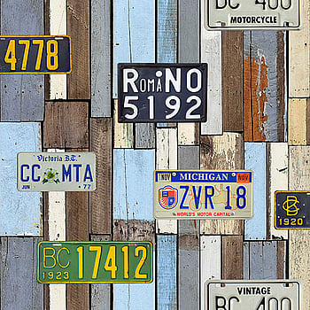 Galerie Wallcoverings Product Code WU17633 - Whats Up Wallpaper Collection -   